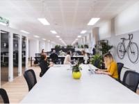 Coorg Natural - Innovative ecommerce